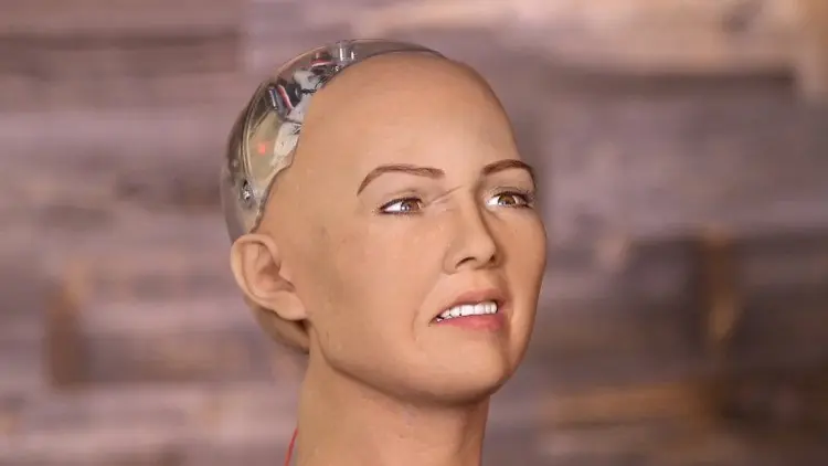 El robot estadounidense que promete destruir al mundo