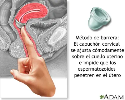 medicina