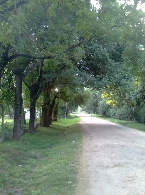 rodolfogaravagno