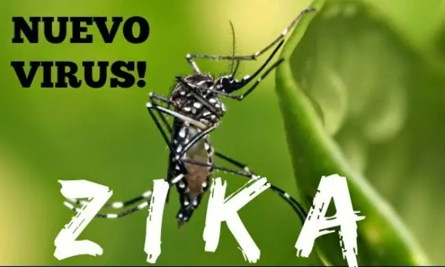 Lo que tenes que saber del "virus zika"..