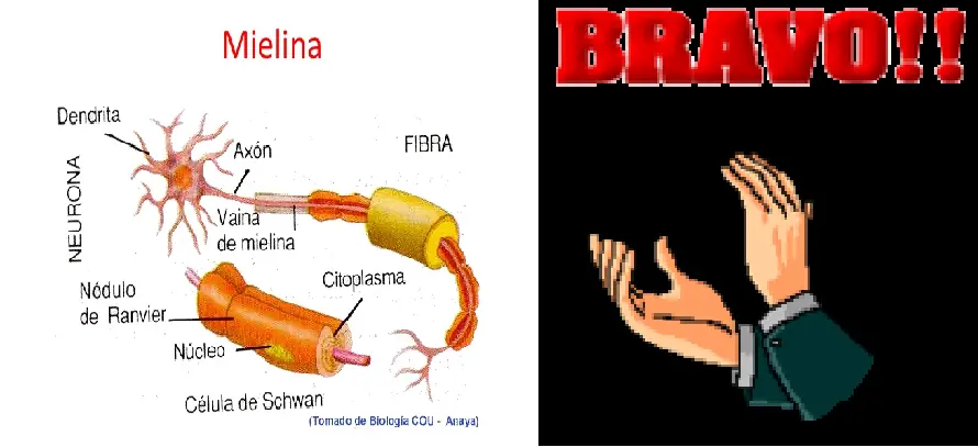 cosas