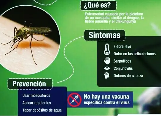 virus