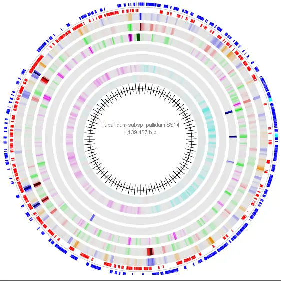 genoma bacteriano