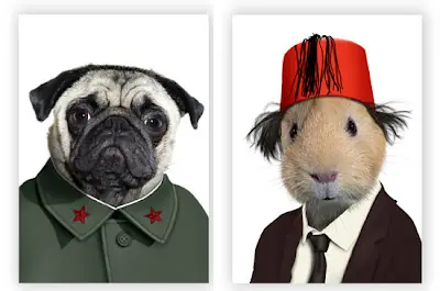 las mascotas de los famosos