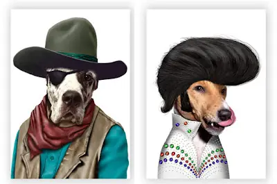 mascotas