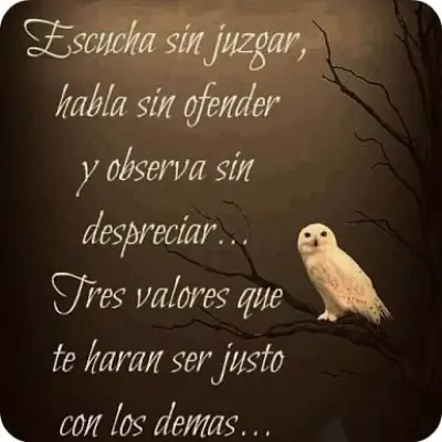 consejos consejos