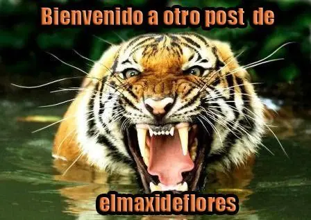 Feminismo y pedofilia. Pruebas, Links y Pichot enfurecida