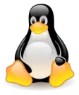 software