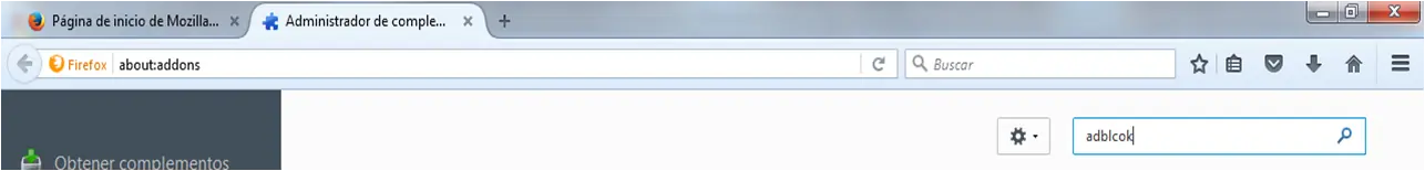 Como eliminar la publicidad molesta en Internet