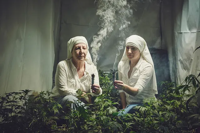 Conoce Las monjas qe cultivan marihuana"para curar el mundo"