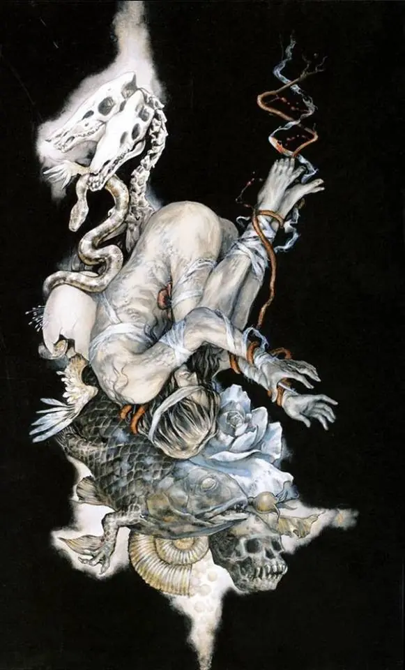 Ayami Kojima, la ilustradora de Castlevania Ayami Kojima, la ilustradora de Castlevania