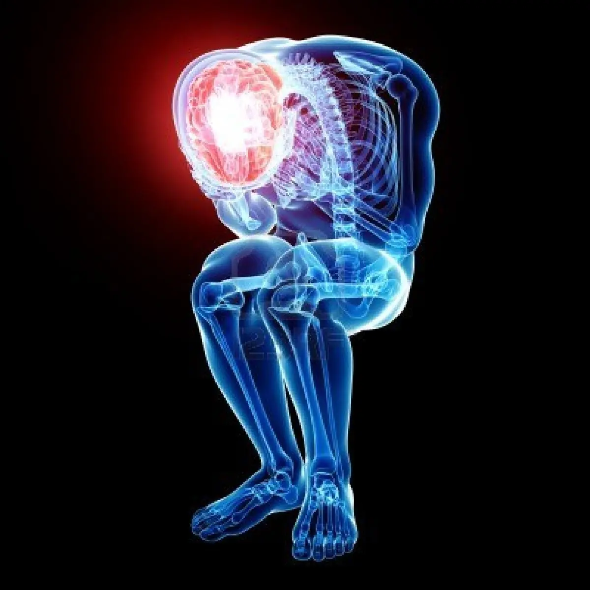 datos del cerebro datos del cerebro
