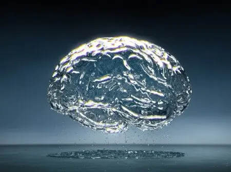cerebro cerebro