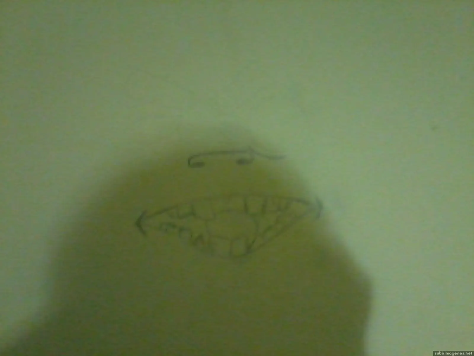 Pinte mi habitación y te lo muestro