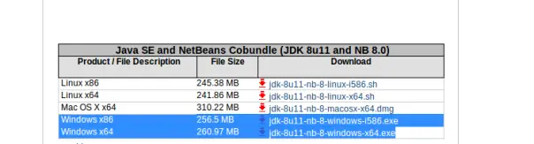 netbeans 8