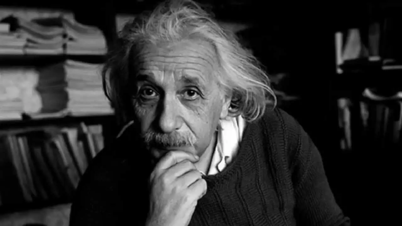 Los Animales Mas Inteligentes