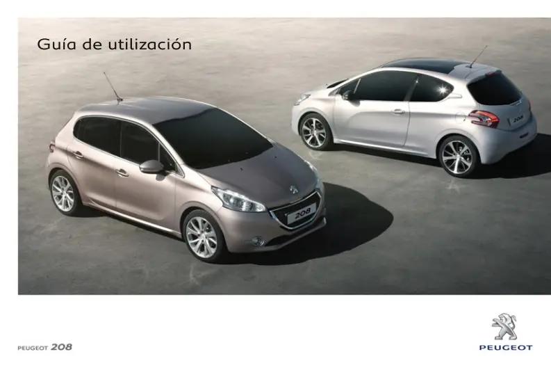 Manual Peugeot 208