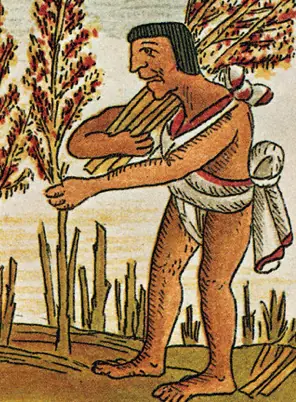 aztecas