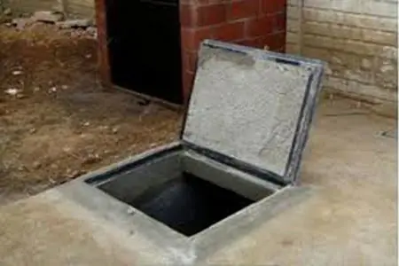 Salvado