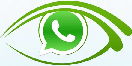 Cosita molesta llamada WhatsApp Cosita molesta llamada WhatsApp