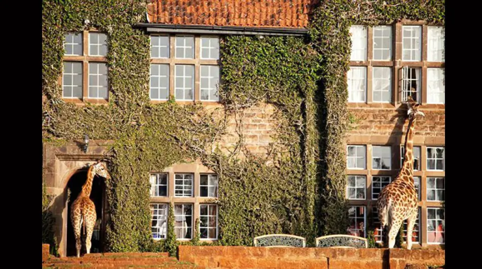 10 de los hoteles más impresionantes en el mundo