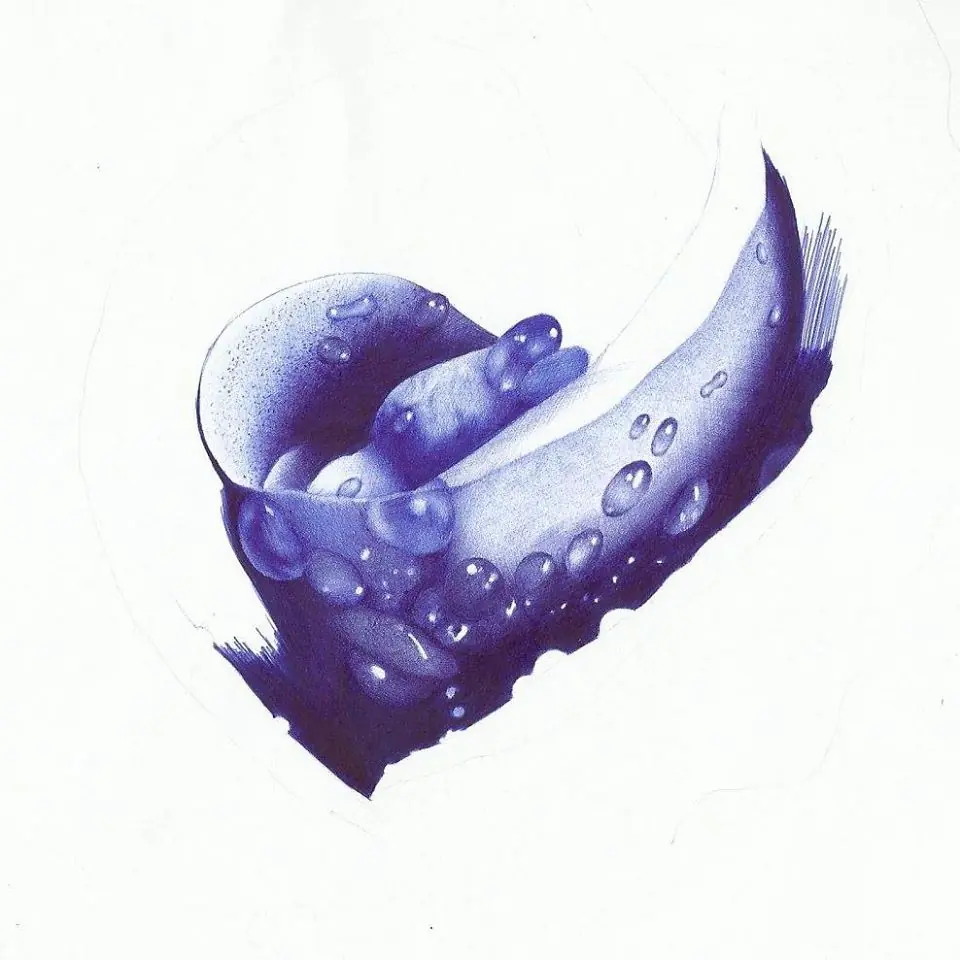 ballpoint pen art