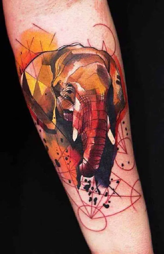 animales