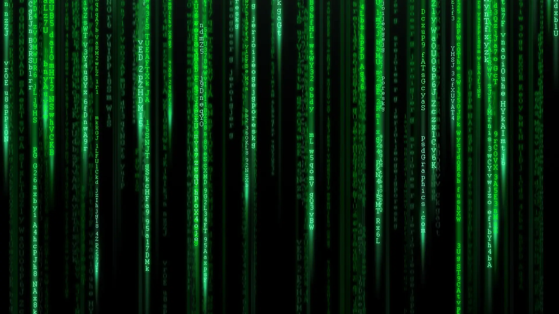 the matrix the matrix