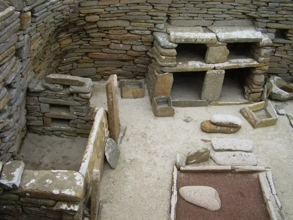 Descubrió una puerta que lo llevó a un mundo prehistórico