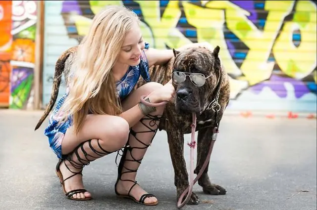 brynn