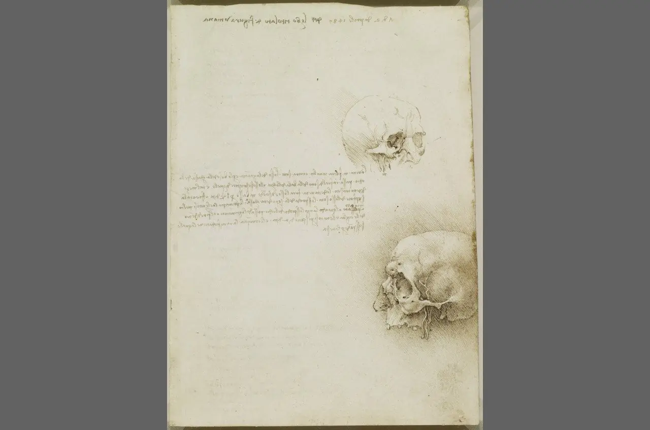 Leonardo Da Vinci, sus dibujos en HD