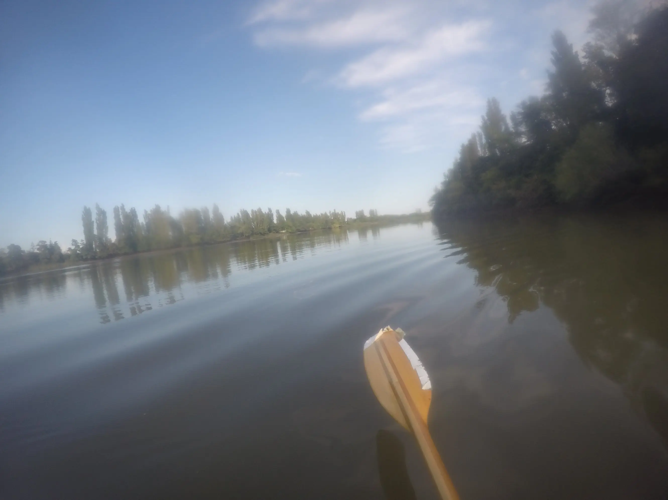 Kayak