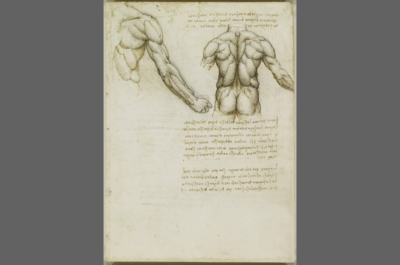 Leonardo Da Vinci, sus dibujos en HD