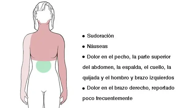 6 Meses