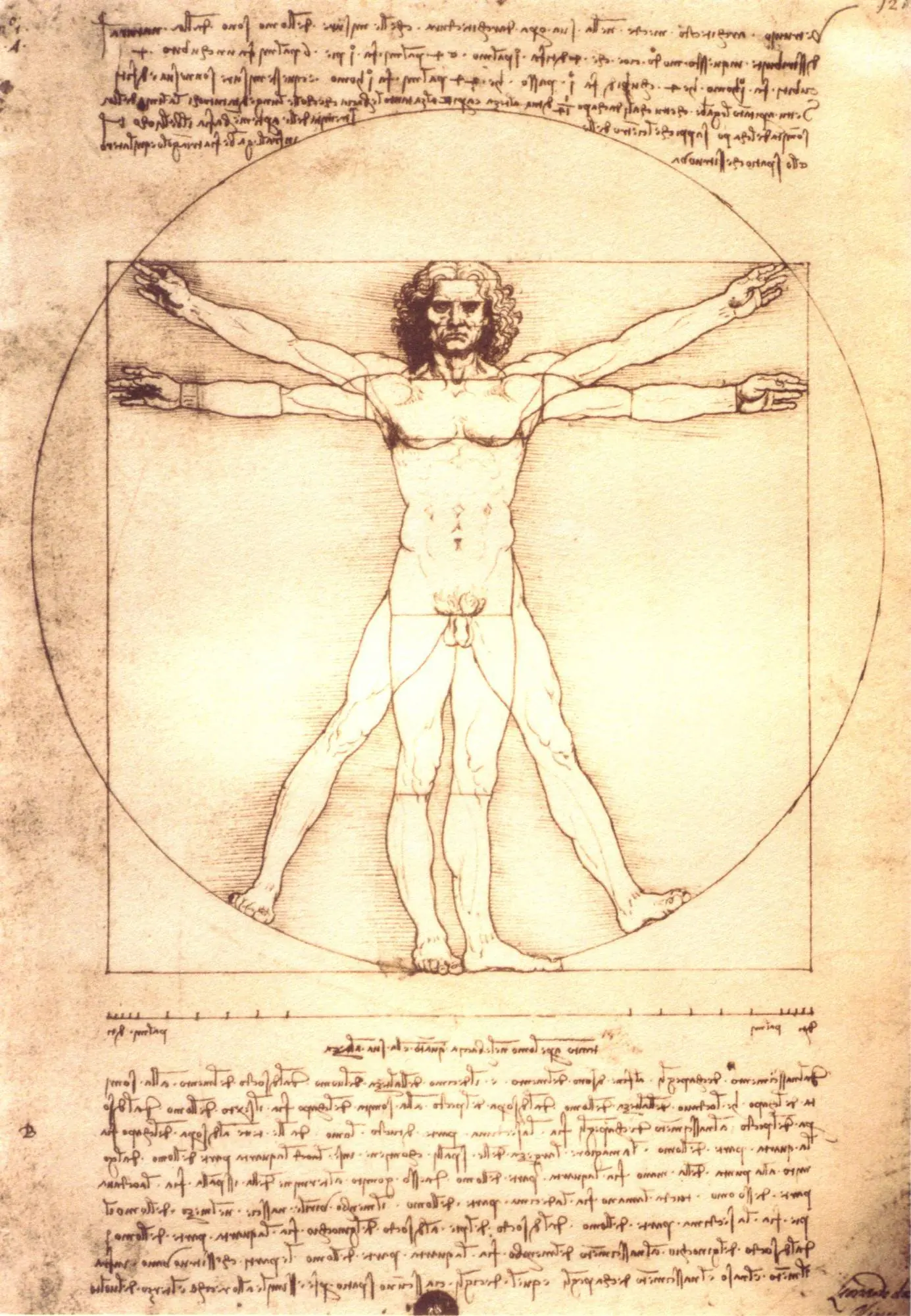 da vinci