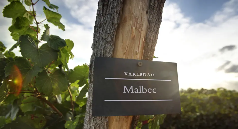 malbec