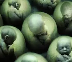 El planeta Tierra no pertenece a los humanos?