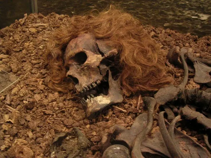 5 descubrimientos sobre la muerte