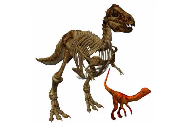 clonacion de dinosaurios