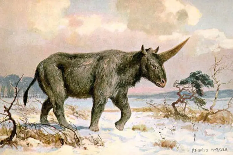 El unicornio no era como nos dijeron. [Nos Mienten]