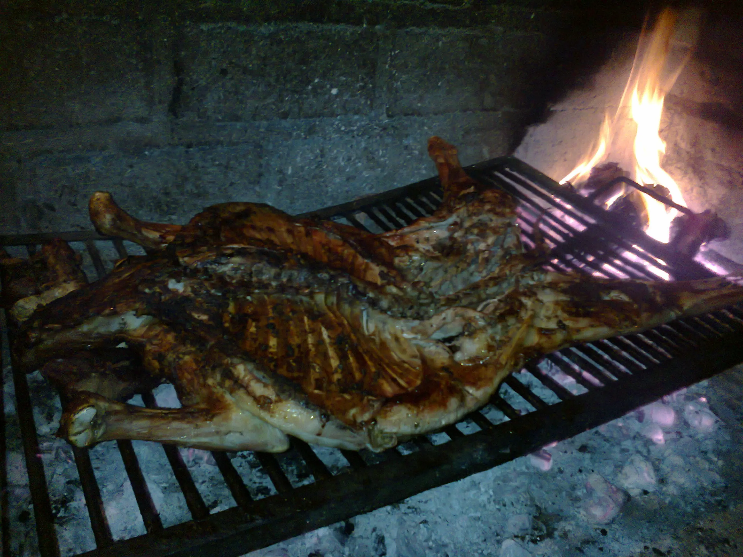linces