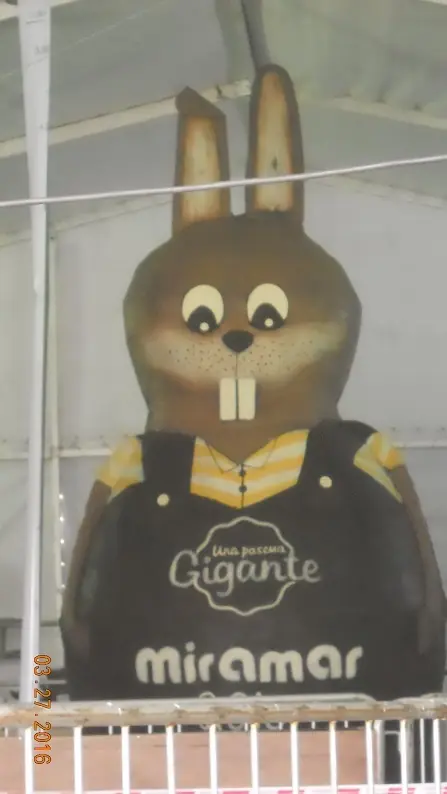 Conejo Conejo