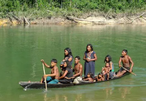 indigenas