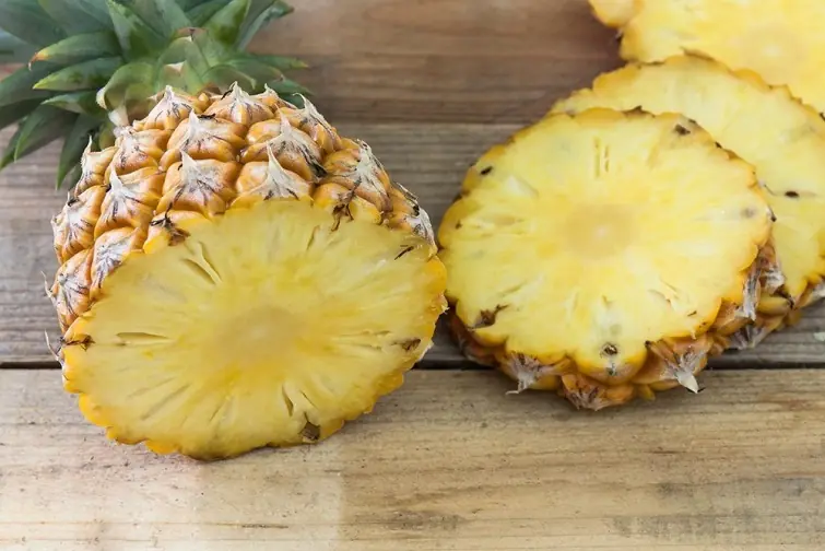 organicas