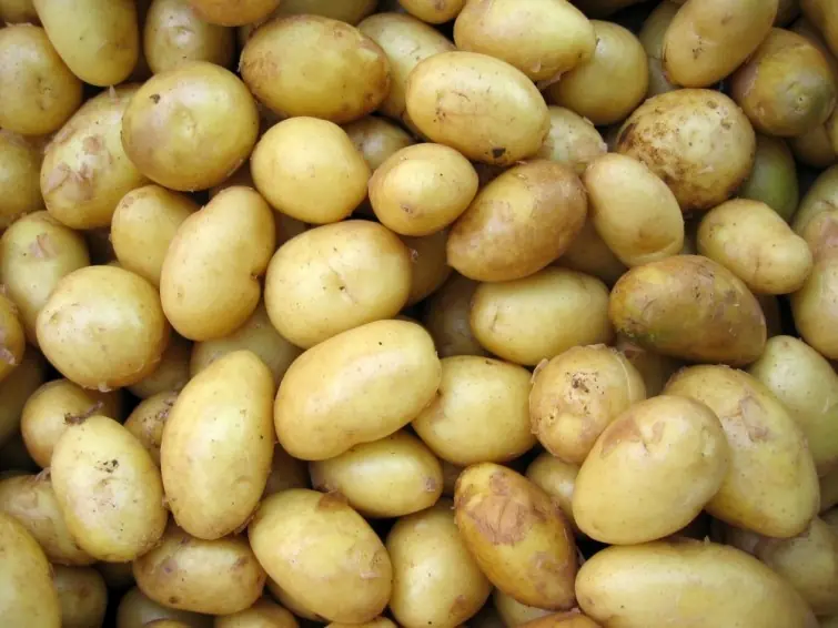 verduras