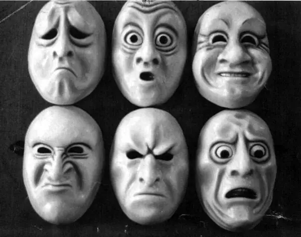 Algunas reflexiones sobre el universo afectivo