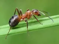 10 Cosas  que tal vez no sabias.