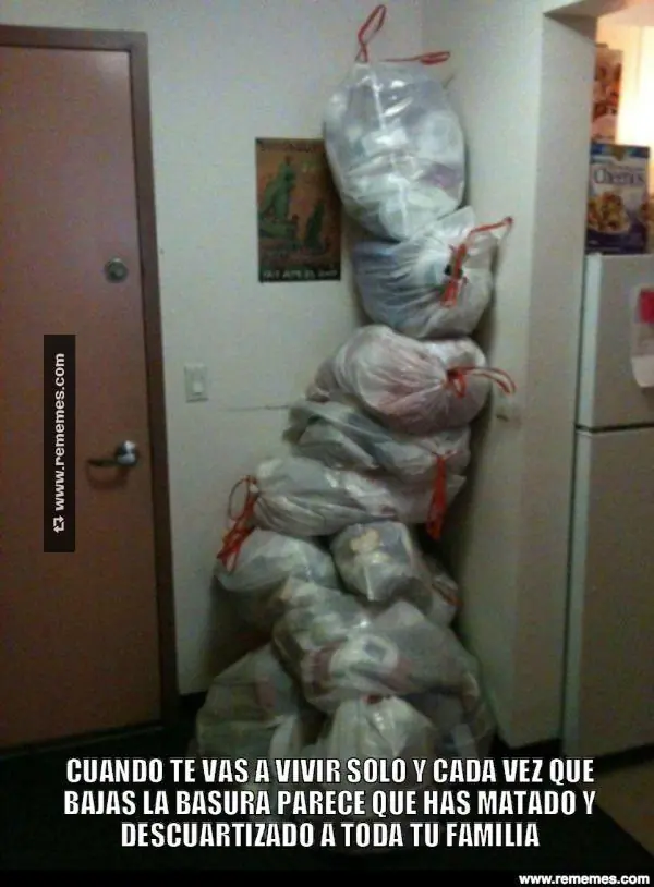 como elegir un departamento como elegir un departamento