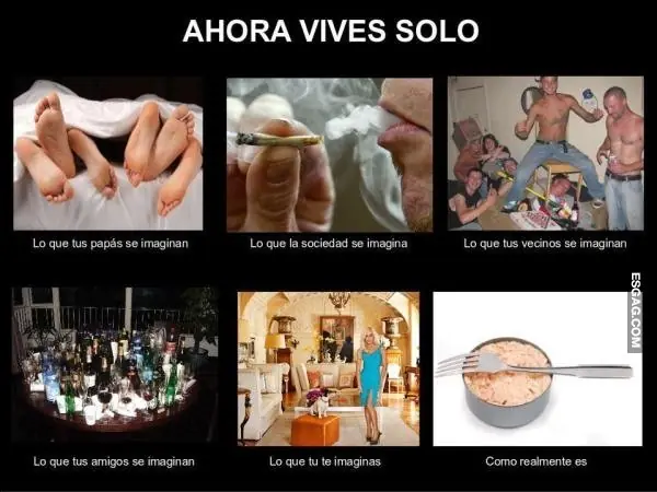 como realizar una mudanza
