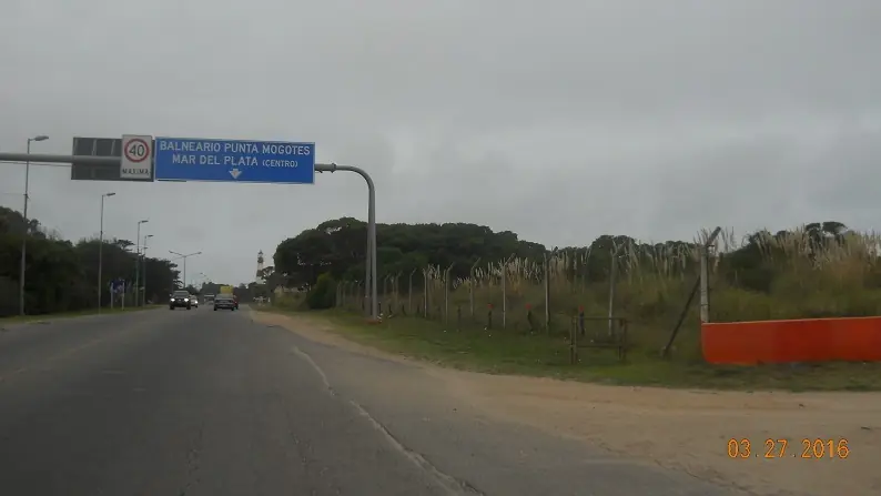 Conejo Conejo